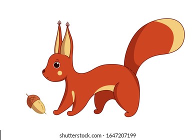 Red squirrel with acorn. Vector illustration in cute cartoon style