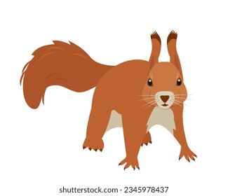 Red Squirrel animal icon. Wild mammal forest animal squirrel character. Vector icon illustration isolated on white background.