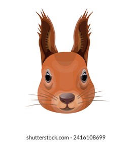 Red squirrel face. Rodent head, muzzle. Close up portrait of an animal. Vector illustration isolated on a white background in a realistic style