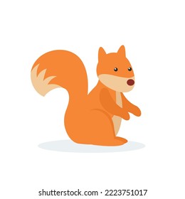 Red squirrel, forest rodent - illustration