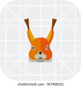 Red squirrel head