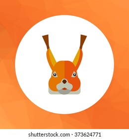 Red squirrel head