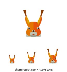 Red squirrel head