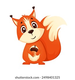 Red squirrel holding an acorn. Vector illustration in cartoon vector style isolated on white background. Forest animals in vector style for children's preschool education.