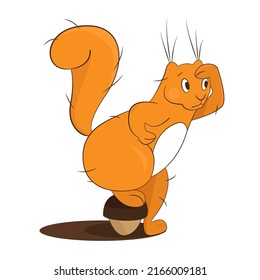 A red squirrel with a large tail stands on a stomach. Vector illustration