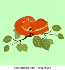 Red squirrel on a branch of hazel