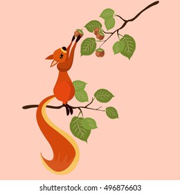 Red squirrel on a branch of hazel
