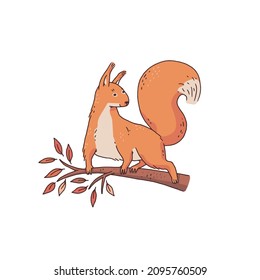 Red squirrel on the tree branch. Cartoon outline sketch illustration of cute animal character.