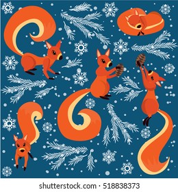 Red squirrel on the tree branches. Background.