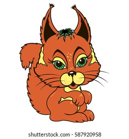 Red squirrel on white background.Vector illustration.