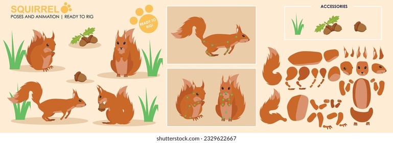 Rotes Eichhörnchen bereit, mit mehreren Posen und Winkeln zu animieren. Schneide Waldtiere, die bereit sind, rennen, sitzen, essen. Zeichensatz für Vektorgrafik-Zeichensatz für Animation 