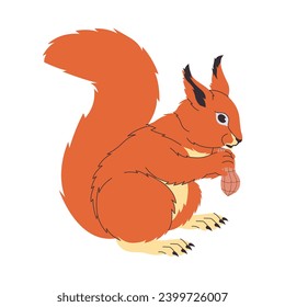 red squirrel rodent cute furry small animal holding and eating nut wild nature mammal creature