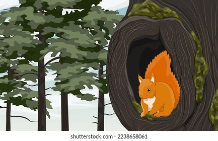 Red Squirrel sits in the hollow of a large old tree. wild animals of the forest. Realistic Vector Landscape
