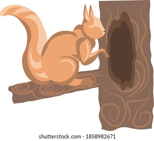 Rotes Eichhörnchen sitzt auf einem Baum in der Nähe des Hauses