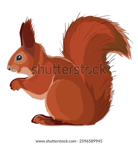 red squirrel sits sideways to us, isolated object on white background, vector illustration, eps