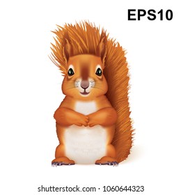 Red Squirrel. Vector illustration