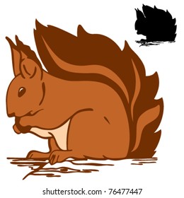 red squirrel vector illustration