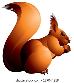 Red Squirrel vector illustration on the white background