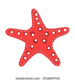 red starfish illustration. A sea creature in a flat design. the star with legs icon is isolated on a white background. A water animal with lipuchke