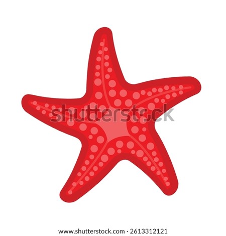 red starfish isolated on a white background