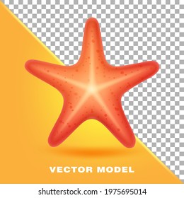 Red starfish. Marine creature. Realistic vector illustration.