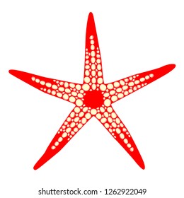 Red starfish on isolated background