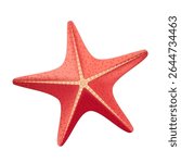 Red starfish on a white background, for decoration.
