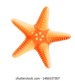 Red starfish on a white background, for decoration.