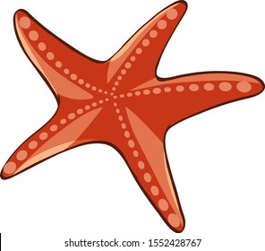 Red starfish on white background illustration