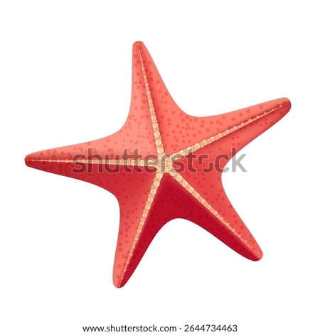 Red starfish on a white background, for decoration.