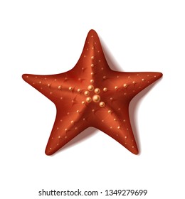 Red starfish in realistic style. Vector illustration with sea star isolated on white background.