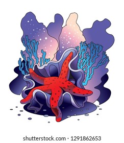Red starfish sitting on corals on seabed, tropical marine life, sea star on ocean reef, colorful underwater landscape, cartoon character, vacation, travel, diving concept, graphic vector illustration