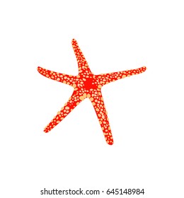 Red starfish vector illustration icon. Aquarium fishes flat style isolated on white background. Tropical, sea, aquarium fish colorful flat design