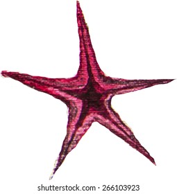 red starfish watercolor vector illustration