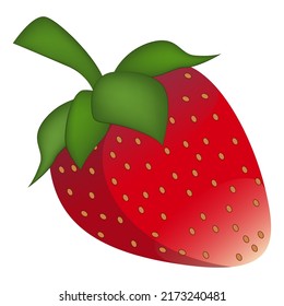 Red stawberry. Summer fruit on white background. Vector isolated flat style illustration. Natural, organic 
 sweet, fresh berry. Packaging print for poster, card and logotype sign element. Eps10