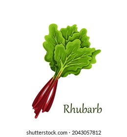 Red stems of rhubarb with green leaves, vector illustration.