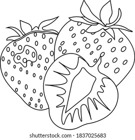 Red strawberries. Contour image of food. Vector illustration isolated on white background.