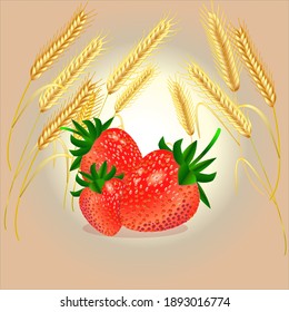 red strawberries in a field among the ears of wheat