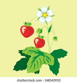 red strawberries and flower