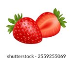 Red strawberries healthy berry summer food. Fresh ripe strawberry whole and cut in half. Vector flat cartoon natural and organic fruit product for dieting and nutrition, wet juicy food, sweet dessert