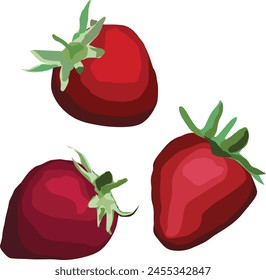 red strawberries with leaves vector image illustration 