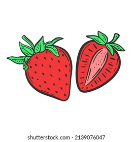 Red strawberries on white background vector illustration. Berries whole and half hand drawn isolated object. Healthy organic food