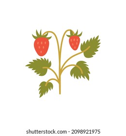 Red strawberry fruit hand drawn naive art