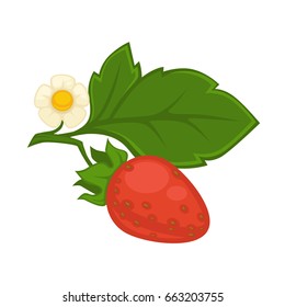 Red strawberry with green leaf and flower isolated on white