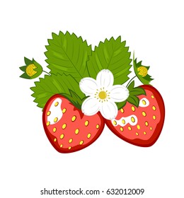 Red strawberry with green leaves vector illustration isolated on white background