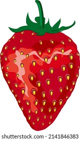 Red strawberry, illustration, vector on a white background.