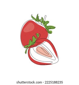 Fresa roja. Un estilo de dibujo de línea continua. Berry fresca orgánica en rodajas y enteras. Ilustración vectorial dibujada a mano.