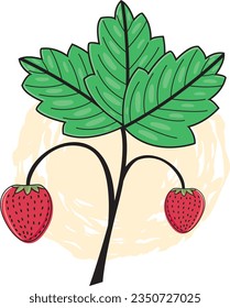 red strawberry plant with fruit and leaf vector illustration.good for mascot, logo,education,school