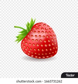 Red strawberry. Realistic style. Vector illustration.