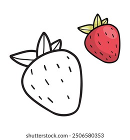 Red strawberry set. Isolated outline stroke, line and color drawings. Vector illustration. Coloring book. Kids collection